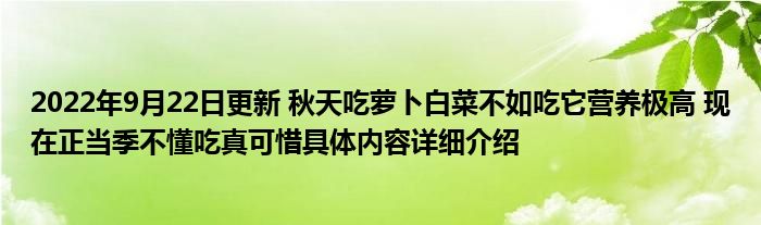 2022年9月22日更新 秋天吃萝卜白菜不如吃它营养极高 现在正当季不懂吃真可惜具体内容详细介绍