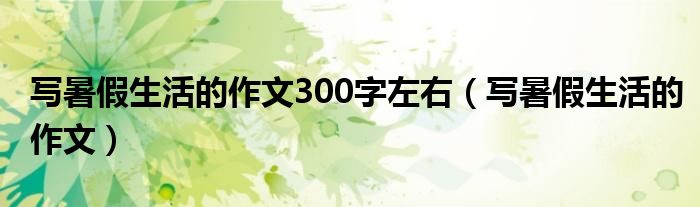 写暑假生活的作文300字左右（写暑假生活的作文）