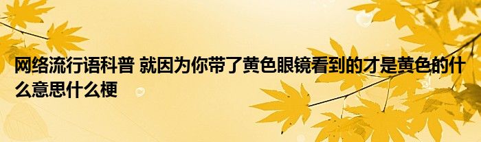 网络流行语科普 就因为你带了黄色眼镜看到的才是黄色的什么意思什么梗