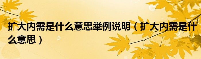 扩大内需是什么意思举例说明（扩大内需是什么意思）