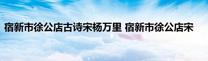 宿新市徐公店古诗宋杨万里 宿新市徐公店宋