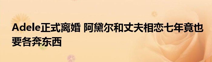 Adele正式离婚 阿黛尔和丈夫相恋七年竟也要各奔东西