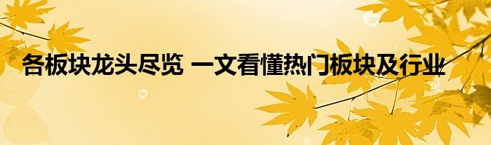 各板块龙头尽览 一文看懂热门板块及行业