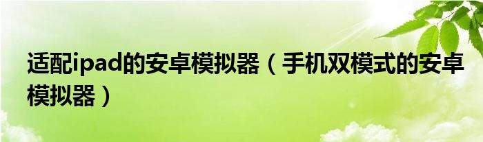 适配ipad的安卓模拟器（手机双模式的安卓模拟器）