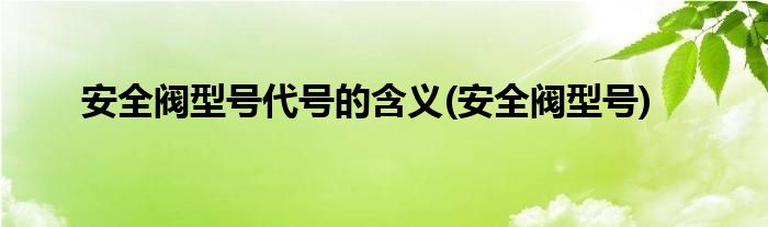 安全阀型号代号的含义(安全阀型号)