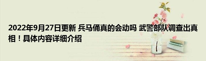 2022年9月27日更新 兵马俑真的会动吗 武警部队调查出真相！具体内容详细介绍