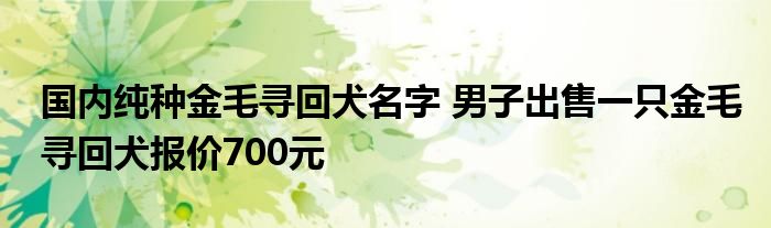 国内纯种金毛寻回犬名字 男子出售一只金毛寻回犬报价700元