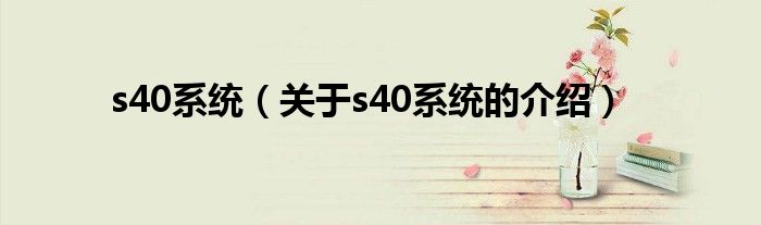 s40系统（关于s40系统的介绍）