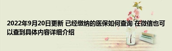 2022年9月20日更新 已经缴纳的医保如何查询 在微信也可以查到具体内容详细介绍