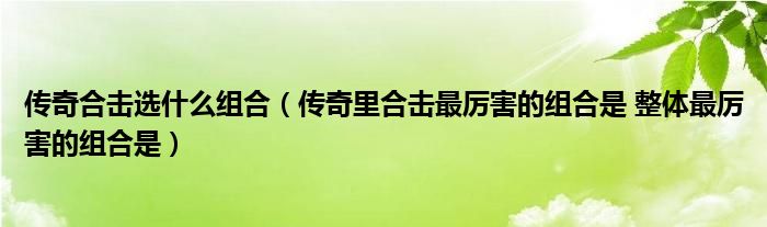 传奇合击选什么组合（传奇里合击最厉害的组合是 整体最厉害的组合是）