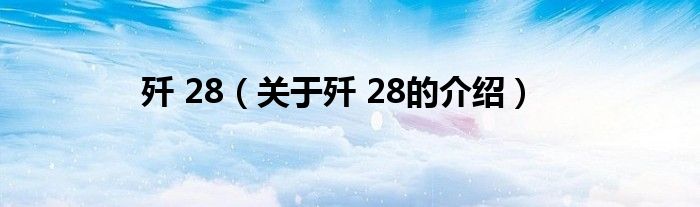 歼 28（关于歼 28的介绍）