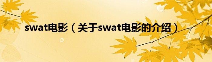 swat电影（关于swat电影的介绍）