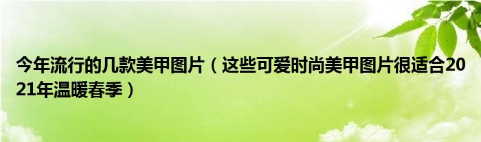 今年流行的几款美甲图片（这些可爱时尚美甲图片很适合2021年温暖春季）