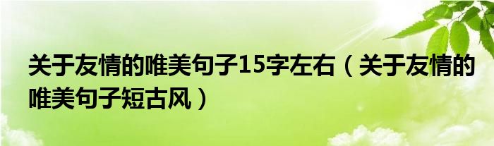 关于友情的唯美句子15字左右（关于友情的唯美句子短古风）