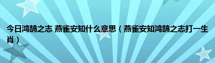 今日鸿鹄之志 燕雀安知什么意思（燕雀安知鸿鹄之志打一生肖）