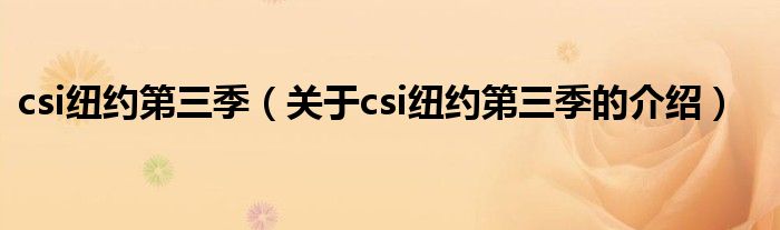 csi纽约第三季（关于csi纽约第三季的介绍）