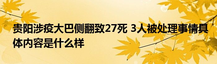 贵阳涉疫大巴侧翻致27死 3人被处理事情具体内容是什么样