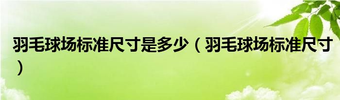 羽毛球场标准尺寸是多少（羽毛球场标准尺寸）