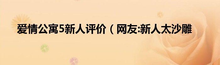 爱情公寓5新人评价（网友:新人太沙雕