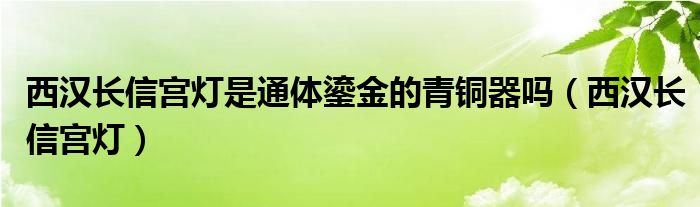 西汉长信宫灯是通体鎏金的青铜器吗（西汉长信宫灯）