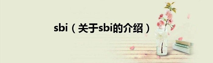 sbi（关于sbi的介绍）