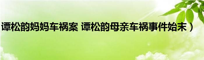 谭松韵妈妈车祸案 谭松韵母亲车祸事件始末）