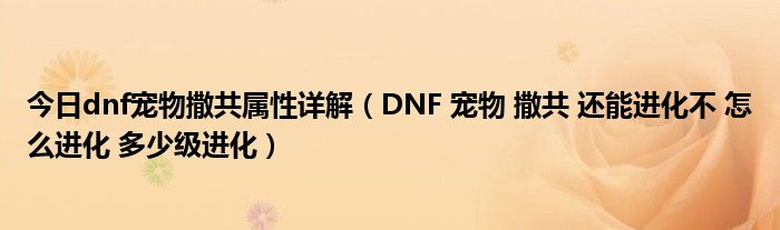 今日dnf宠物撒共属性详解（DNF 宠物 撒共 还能进化不 怎么进化 多少级进化）