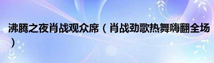 沸腾之夜肖战观众席（肖战劲歌热舞嗨翻全场）