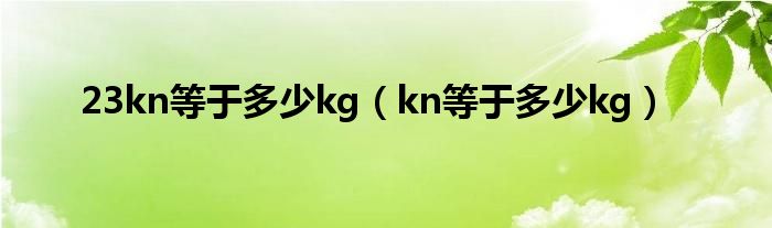 23kn等于多少kg（kn等于多少kg）