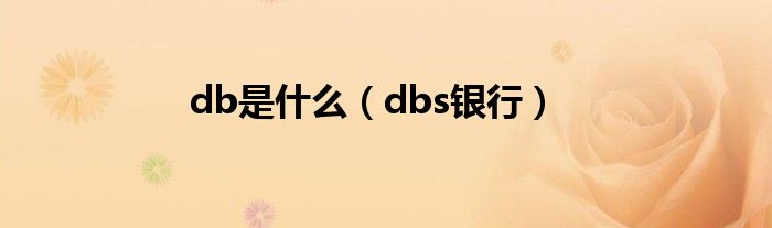 db是什么（dbs银行）