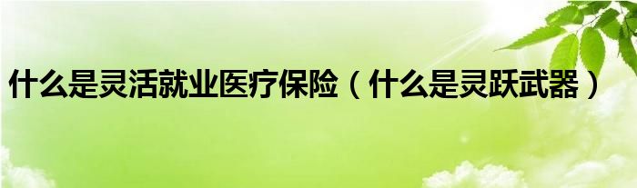 什么是灵活就业医疗保险（什么是灵跃武器）