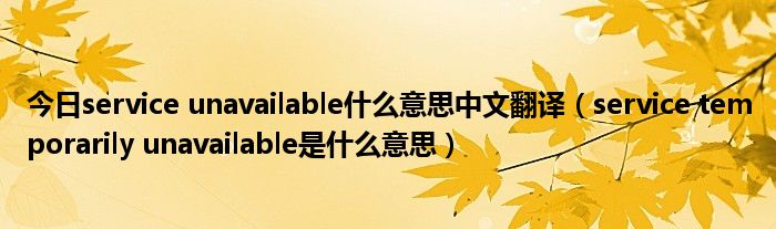 今日service unavailable什么意思中文翻译（service temporarily unavailable是什么意思）