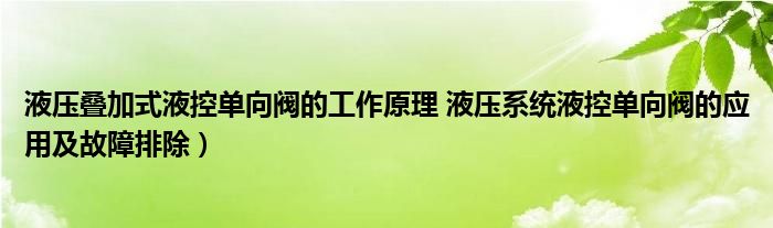 液压叠加式液控单向阀的工作原理 液压系统液控单向阀的应用及故障排除）