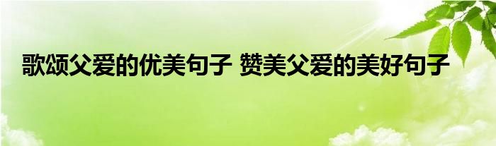 歌颂父爱的优美句子 赞美父爱的美好句子