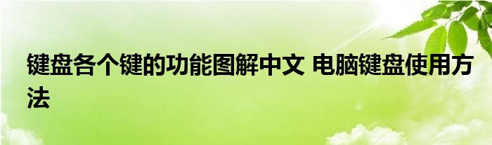 键盘各个键的功能图解中文 电脑键盘使用方法