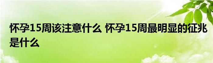 怀孕15周该注意什么 怀孕15周最明显的征兆是什么