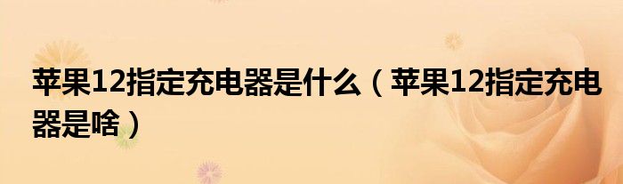 苹果12指定充电器是什么（苹果12指定充电器是啥）