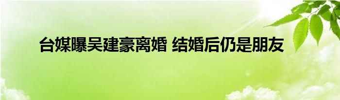 台媒曝吴建豪离婚 结婚后仍是朋友