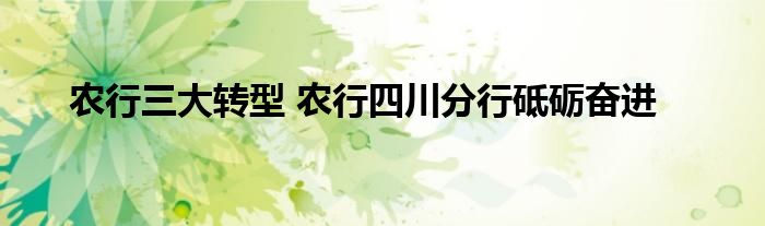 农行三大转型 农行四川分行砥砺奋进