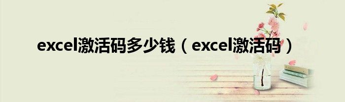 excel激活码多少钱（excel激活码）