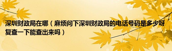 深圳财政局在哪（麻烦问下深圳财政局的电话号码是多少呀 复查一下能查出来吗）