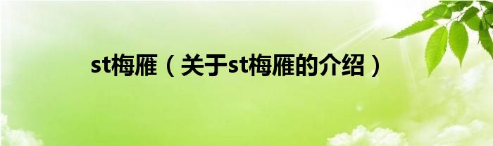 st梅雁（关于st梅雁的介绍）