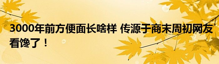 3000年前方便面长啥样 传源于商末周初网友看馋了！