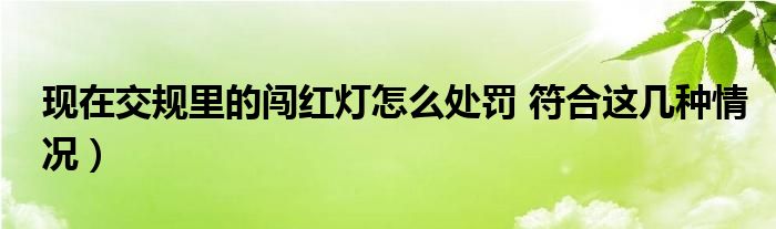 现在交规里的闯红灯怎么处罚 符合这几种情况）