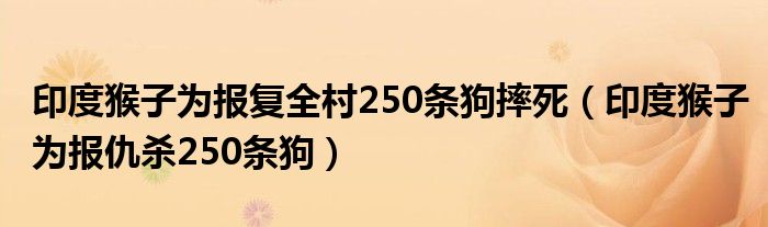 印度猴子为报复全村250条狗摔死（印度猴子为报仇杀250条狗）