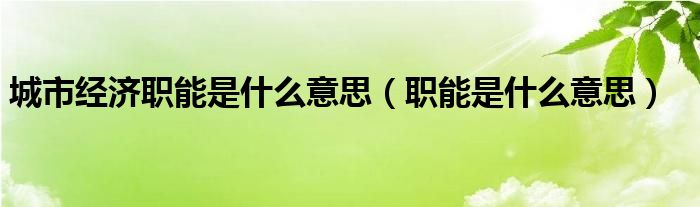 城市经济职能是什么意思（职能是什么意思）