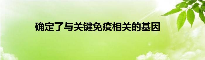 确定了与关键免疫相关的基因