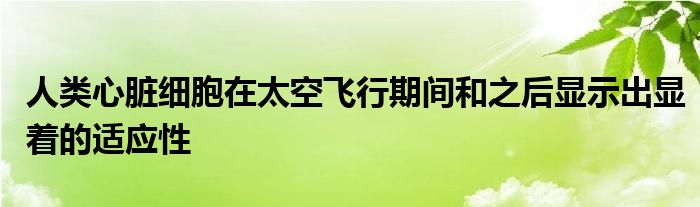 人类心脏细胞在太空飞行期间和之后显示出显着的适应性