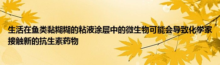 生活在鱼类黏糊糊的粘液涂层中的微生物可能会导致化学家接触新的抗生素药物